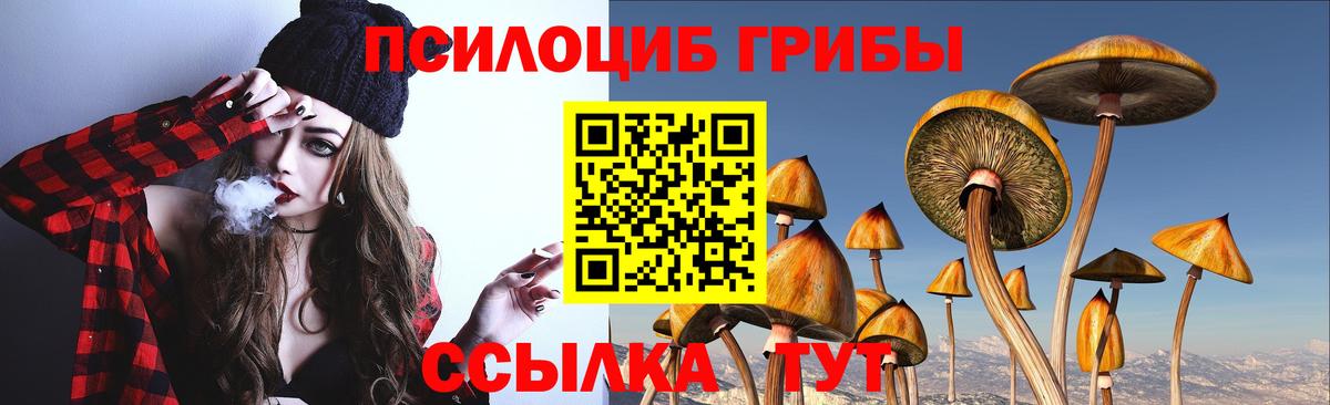 Псилоцибиновые грибы Psilocybe Орск